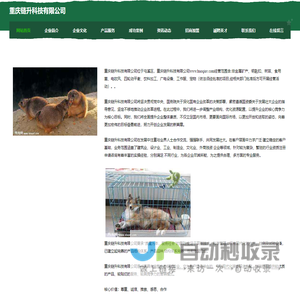 重庆链升科技有限公司